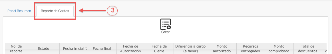 submenú reporte de gastos - contasat