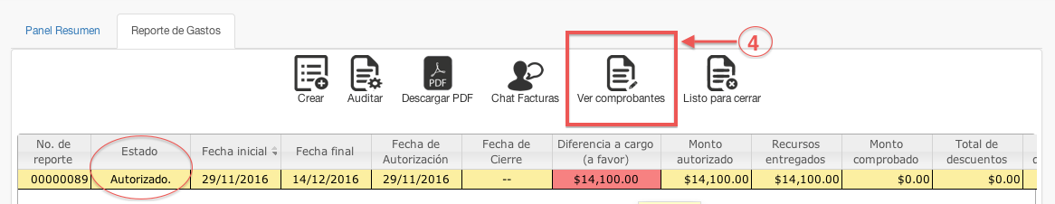 ver comprobantes del reporte de gasto - contasat